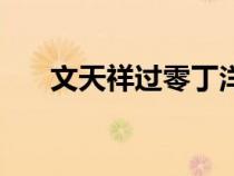 文天祥过零丁洋背景（过零丁洋背景）