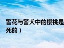 警花与警犬中的樱桃是真的警犬吗（警花与警犬樱桃是怎么死的）