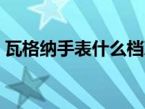 瓦格纳手表什么档次（雪铁纳手表什么档次）