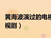 黄海波演过的电视剧主题曲（黄海波演过的电视剧）