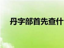 丹字部首先查什么（丹字查部首查什么）
