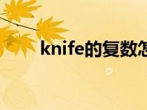 knife的复数怎么读(knife的复数) knife的复数怎么读(knife的复数)