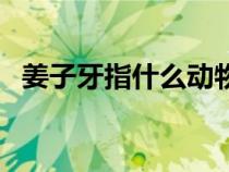 姜子牙指什么动物（姜子牙代表什么动物）