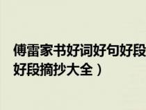傅雷家书好词好句好段摘抄大全及感悟（傅雷家书好词好句好段摘抄大全）