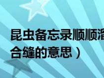 昆虫备忘录顺顺溜溜和严丝合缝的意思（严丝合缝的意思）