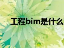 工程bim是什么意思（bim是什么意思）