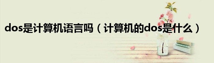 dos是计算机语言吗（计算机的dos是什么）