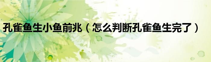 孔雀鱼生小鱼前兆（怎么判断孔雀鱼生完了）