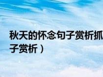 秋天的怀念句子赏析抓住我的手忍住哭声说（秋天的怀念句子赏析）