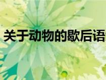 关于动物的歇后语大全（关于动物的歇后语）
