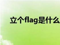 立个flag是什么意思（flag是什么意思）