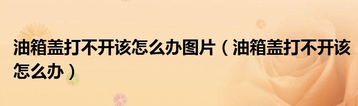 油箱盖打不开该怎么办图片（油箱盖打不开该怎么办）