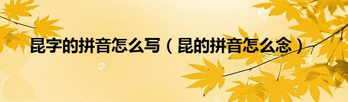 昆字的拼音怎么写（昆的拼音怎么念）