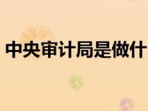 中央审计局是做什么的（审计局是做什么的）