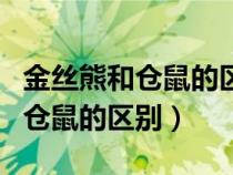 金丝熊和仓鼠的区别公婆鼠哪个好（金丝熊和仓鼠的区别）