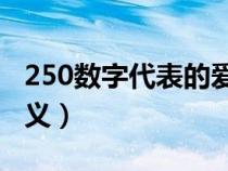 250数字代表的爱情含义（数字代表的爱情含义）