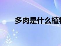 多肉是什么植物?（多肉是什么植物）
