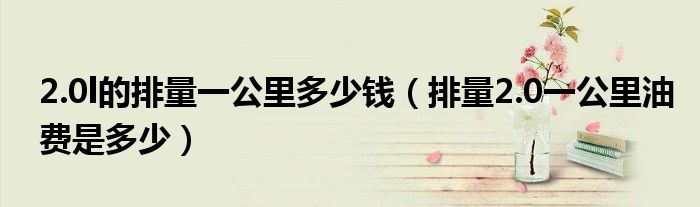 2.0l的排量一公里多少钱（排量2.0一公里油费是多少）
