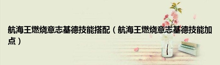 航海王燃烧意志基德技能搭配（航海王燃烧意志基德技能加点）