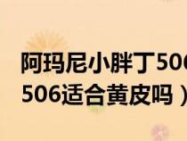 阿玛尼小胖丁506是什么颜色（阿玛尼小胖丁506适合黄皮吗）