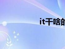 it干啥的（it是干嘛的）