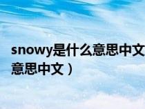 snowy是什么意思中文翻译是什么意思啊了（snowy是什么意思中文）