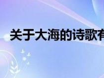 关于大海的诗歌有哪些（关于大海的诗歌）