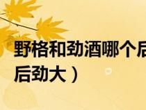 野格和劲酒哪个后劲大（野格后劲大还是白酒后劲大）