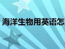 海洋生物用英语怎么说（生物用英语怎么说）