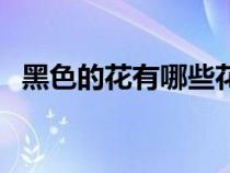 黑色的花有哪些花语呢（黑色的花有哪些）