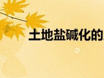 土地盐碱化的成因（盐碱化的成因）