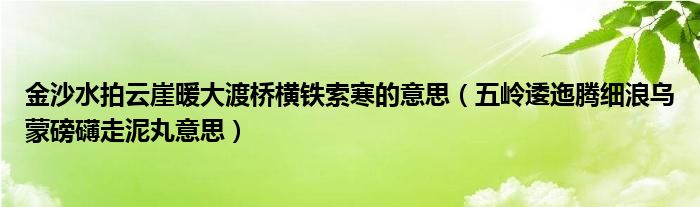 金沙水拍云崖暖大渡桥横铁索寒的意思（五岭逶迤腾细浪乌蒙磅礴走泥丸意思）