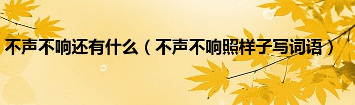 不声不响还有什么（不声不响照样子写词语）