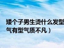 矮个子男生烫什么发型好看（矮个男士如何烫个发型显高帅气有型气质不凡）