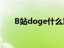 B站doge什么意思（doge什么意思）