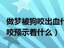做梦被狗咬出血什么意思周公解梦（做梦被狗咬预示着什么）