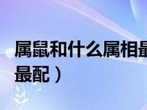属鼠和什么属相最配、相克（属鼠和什么属相最配）