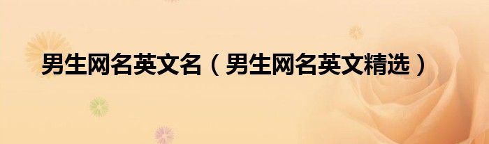 男生网名英文名（男生网名英文精选）