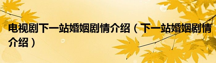 电视剧下一站婚姻剧情介绍（下一站婚姻剧情介绍）