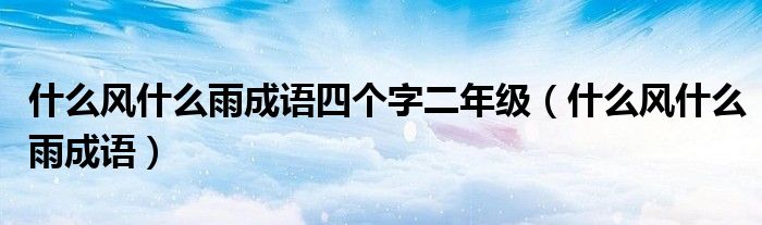 什么风什么雨成语四个字二年级（什么风什么雨成语）