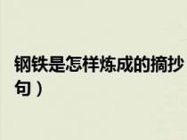钢铁是怎样炼成的摘抄 好词（钢铁是怎样炼成摘抄的好词好句）