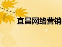宜昌网络营销特点（网络营销特点）