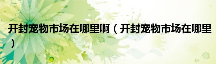 开封宠物市场在哪里啊（开封宠物市场在哪里）