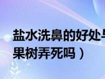 盐水洗鼻的好处与坏处（2斤盐水能把五年的果树弄死吗）