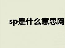 sp是什么意思网络用语（sp是什么意思）