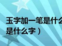 玉字加一笔是什么字有哪些字呢（玉字加一笔是什么字）