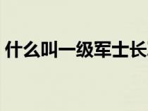 什么叫一级军士长军衔（什么叫一级军士长）