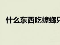 什么东西吃蟑螂只剩壳（什么东西吃蟑螂）