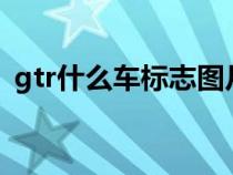 gtr什么车标志图片（GTR标志是什么车的）