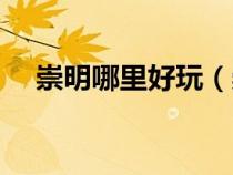崇明哪里好玩（崇明有什么好玩的地方）